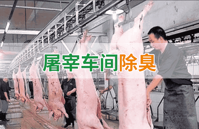 屠宰場臭氣影響周邊環境?解決辦法在這里-1