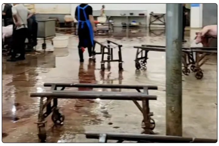 屠宰工廠惡臭影響周邊,使用除臭劑有什么注意要點?.jpg 屠宰工廠惡臭影響周邊,使用除臭劑有什么注意要點?.jpg