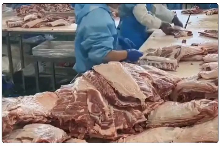 屠宰工廠惡臭影響周邊,使用除臭劑有什么注意要點?.jpg 屠宰工廠惡臭影響周邊,使用除臭劑有什么注意要點?.jpg