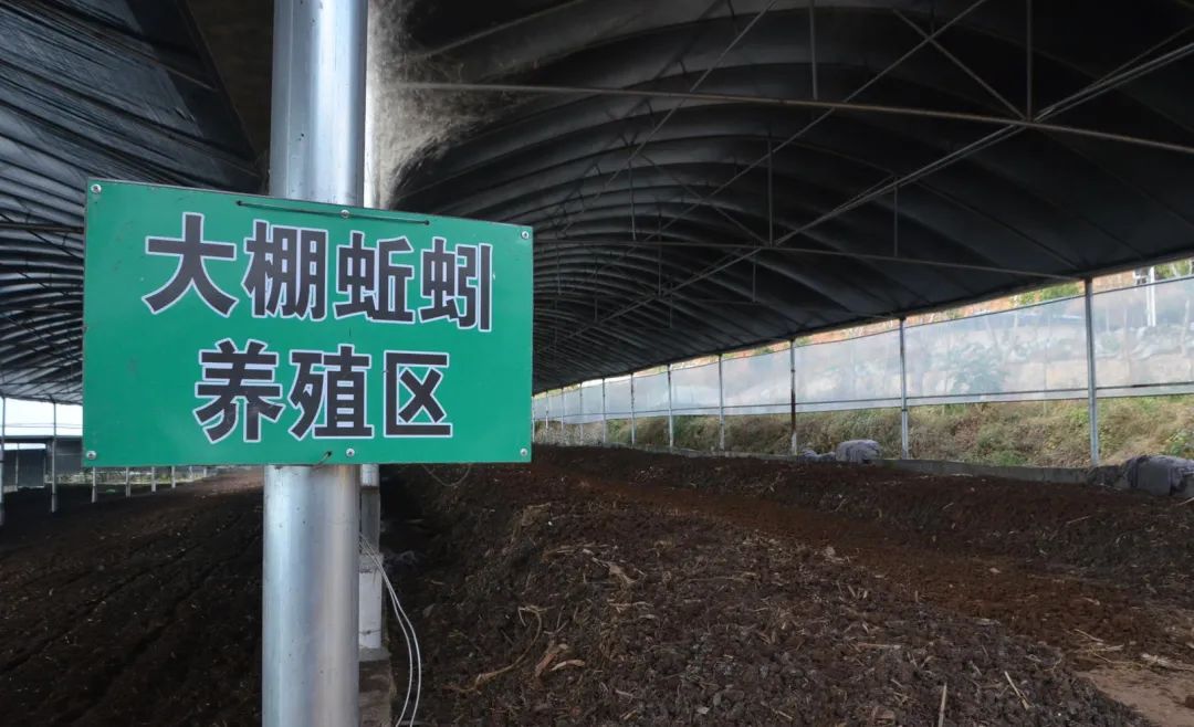 潔匠凈化·的凈工業除臭劑_的凈工業除臭劑高效治理蚯蚓養殖惡臭異味大、牛糞味濃