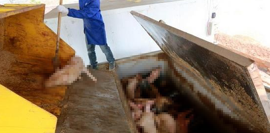 潔匠凈化·的凈工業除臭劑_動物無害化處理廠，惡臭異味危害大，工業除臭劑起作用！