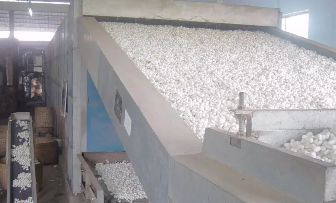 潔匠凈化·的凈工業(yè)除臭劑_繅絲廠“蠶繭烘干惡臭味”，Dejing的凈?除臭創(chuàng)造清新廠房！