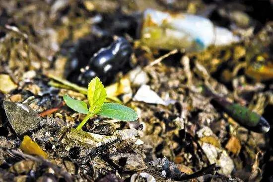 土壤污染工業廢渣氣味修復再利用.jpg 土壤污染工業廢渣氣味修復再利用.jpg