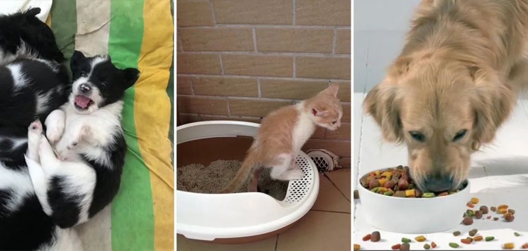 de3353a99517de8a31f283e509febe65.jpg de3353a99517de8a31f283e509febe65.jpg