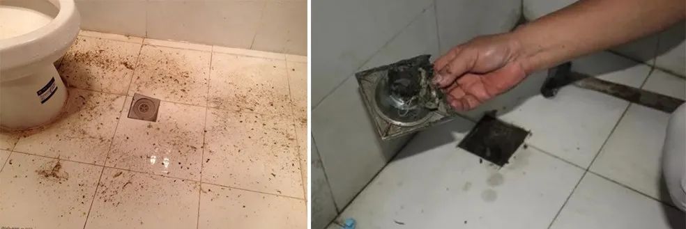 家里衛生間老有異味,潔匠凈化教您如何解決難聞的臭味.jpg 家里衛生間老有異味,潔匠凈化教您如何解決難聞的臭味.jpg