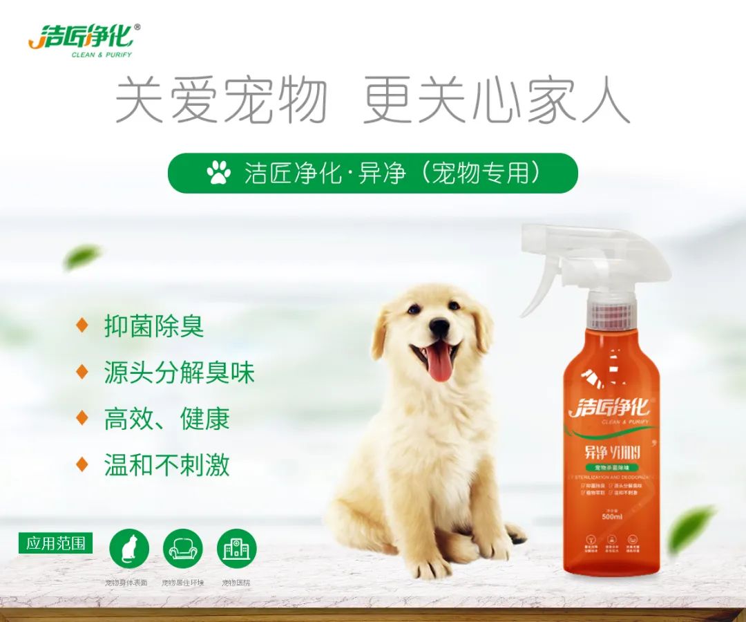 寵物氣味彌漫整個屋子,潔匠凈化教您如何除味 寵物氣味彌漫整個屋子,潔匠凈化教您如何除味